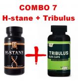 Combo 7: H-stane + Tribulus On (frete grátis)